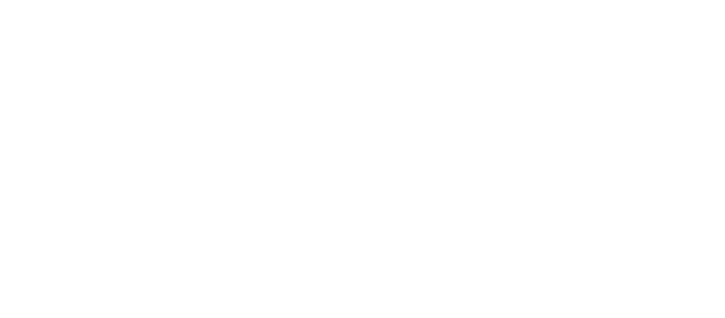 Franz Trimmel Logo weiß